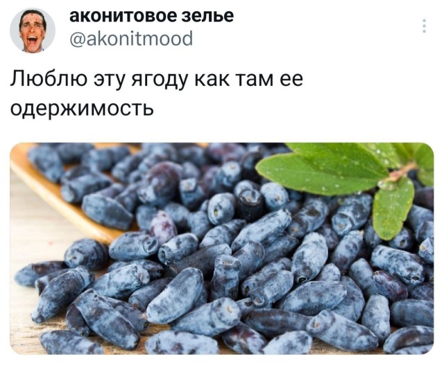 Нуштош 22.07.2025. Противоестественное происхождение (s4e4)