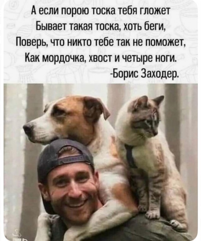 Так себе картинки 09.08.25