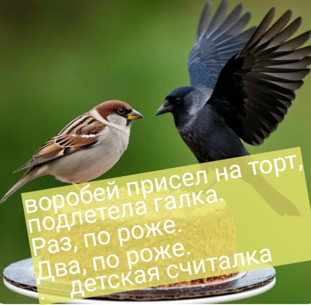 Так себе картинки 18.08.25