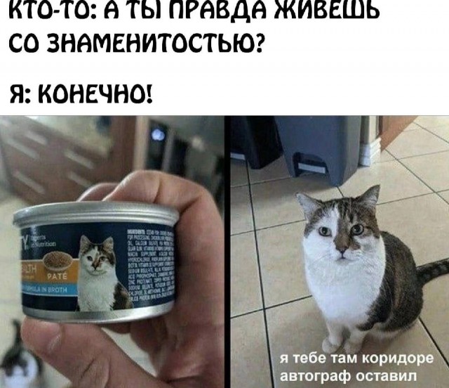 Веселые картинки в пятницу (12.09)