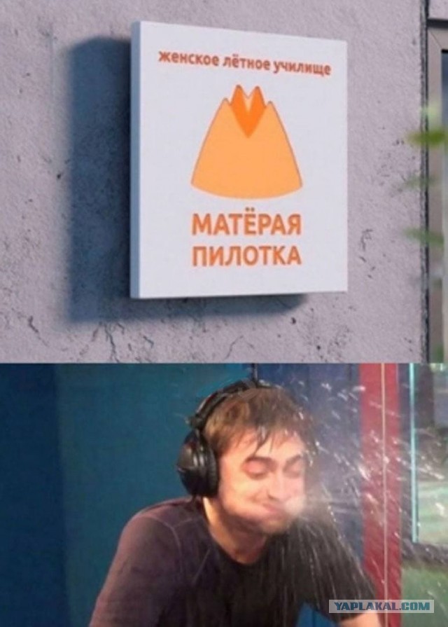 Стюардессы