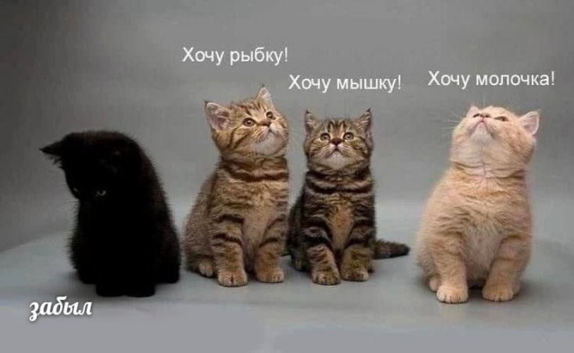 Небаянистая деградация 2