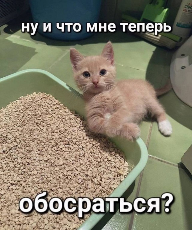 Небаянистая деградация 9