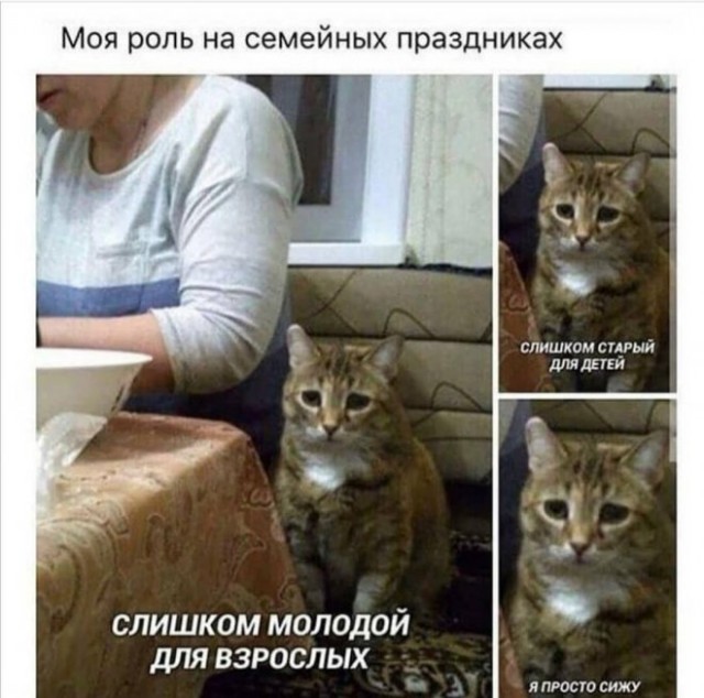 Веселые картинки в первый день зимы (01.12)