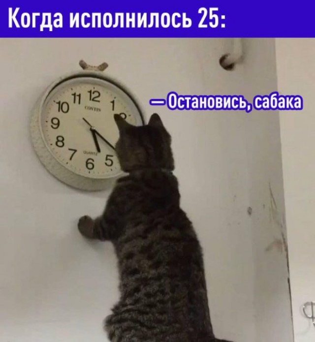 Картиночки, баянчики 19 декабря