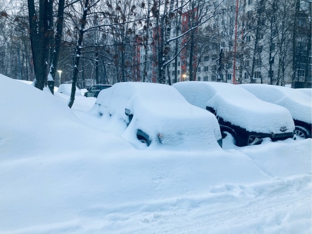 Обильное половодье прогнозируют синоптики в Москве