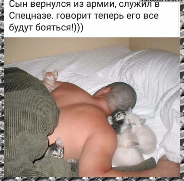 Среды картинки