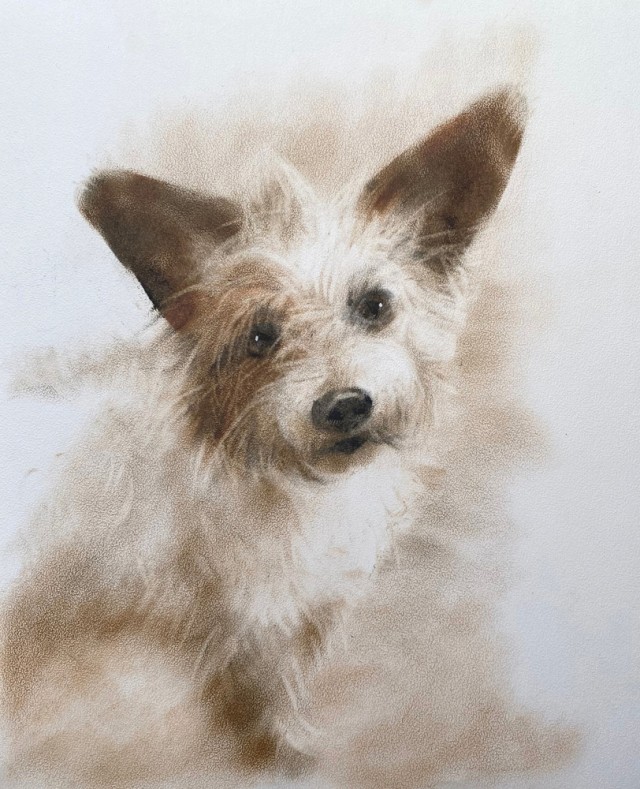 Рисунки животных