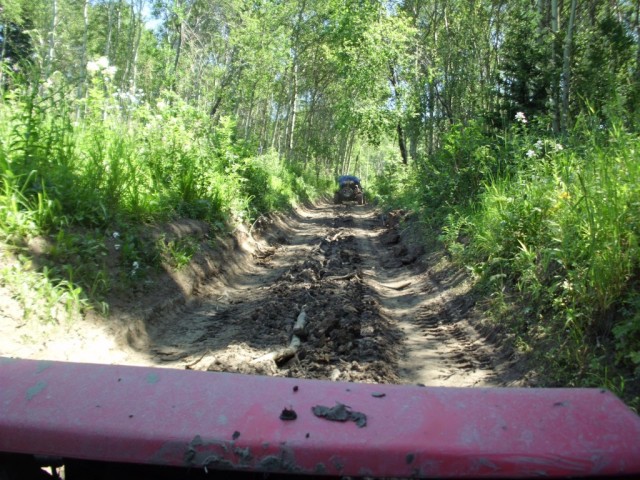 Тимбилдин IT службы при поддержке юр. и фин. служб