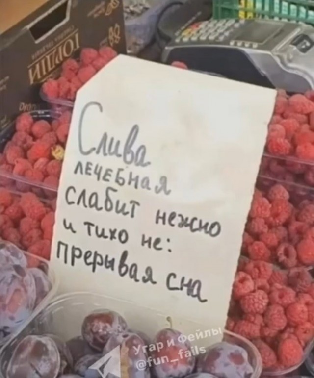 Картинки для деградации 200 (разной степени свежести)