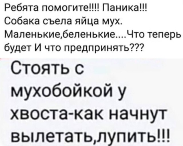 Немного картинок в четверг