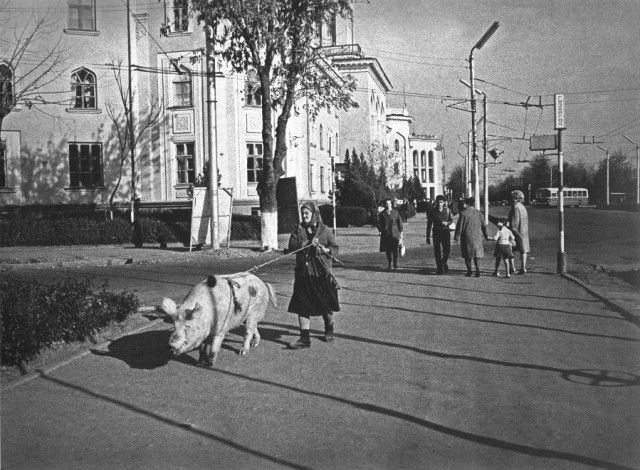 Смешал, но не взбалтывал: 09.08.26