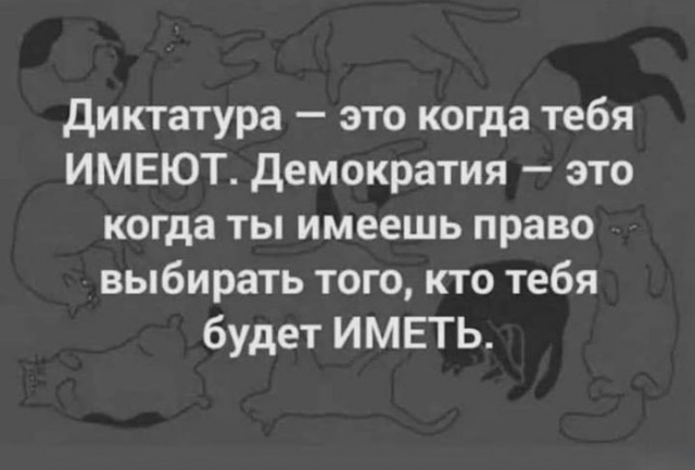Федор Емельяненко назвал революцию 1917 года трагедией: «Сколько замучили, убили, расстреляли, повесили, в нечистотах утопили»
