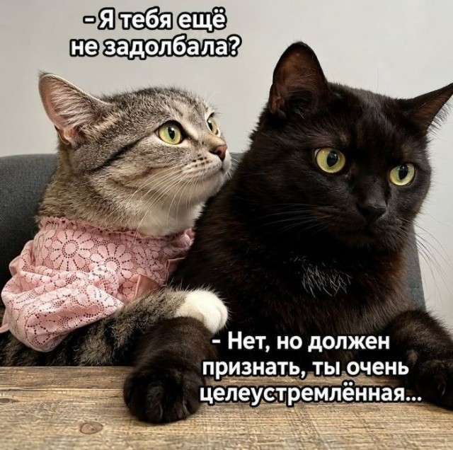 Картинки всякие разные невпопад 1.6