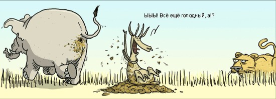 Испортил аппетит