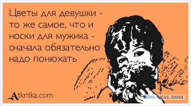 Лучшие  «аткрытки»года