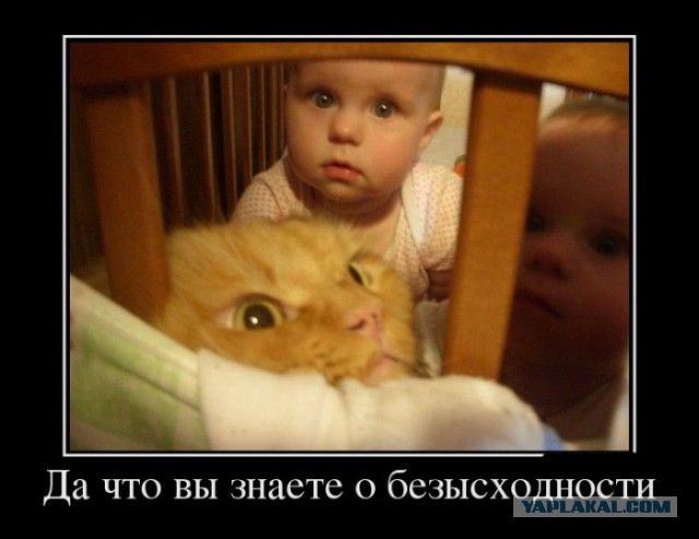 Безграничное терпение животных к детям