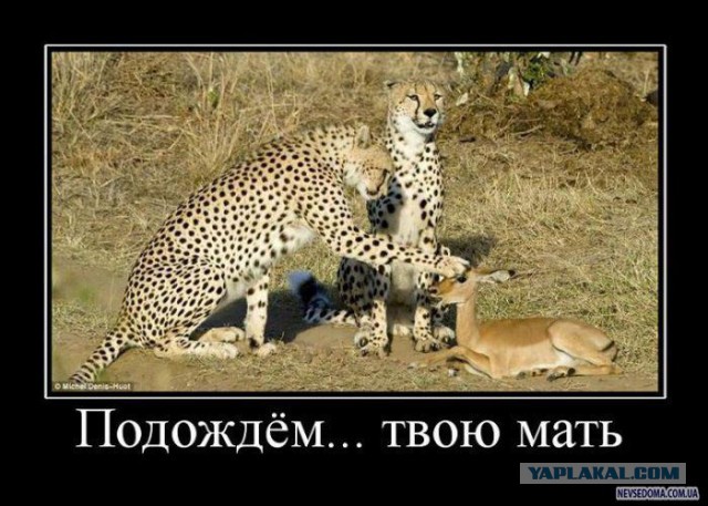 Норвегии из-за РФ куда хуже, чем болтают ЕС