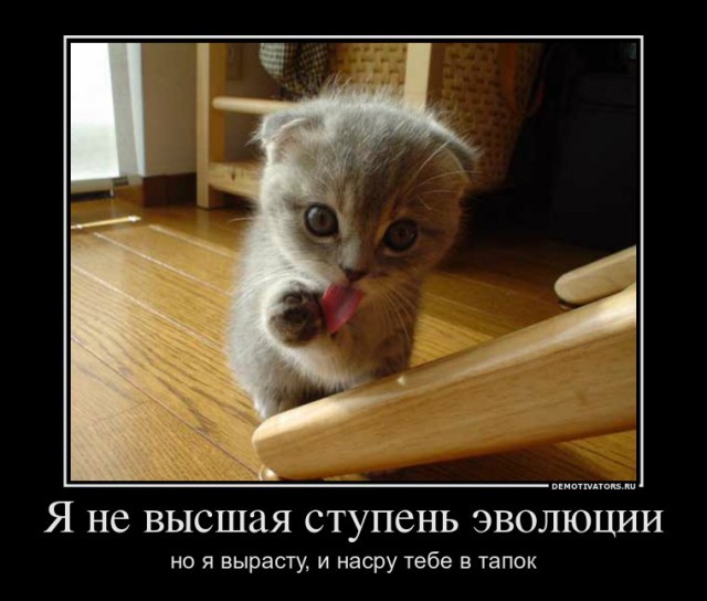 Немного позитива на пятницу