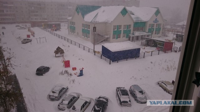 Что у тебя сейчас за окном?:)