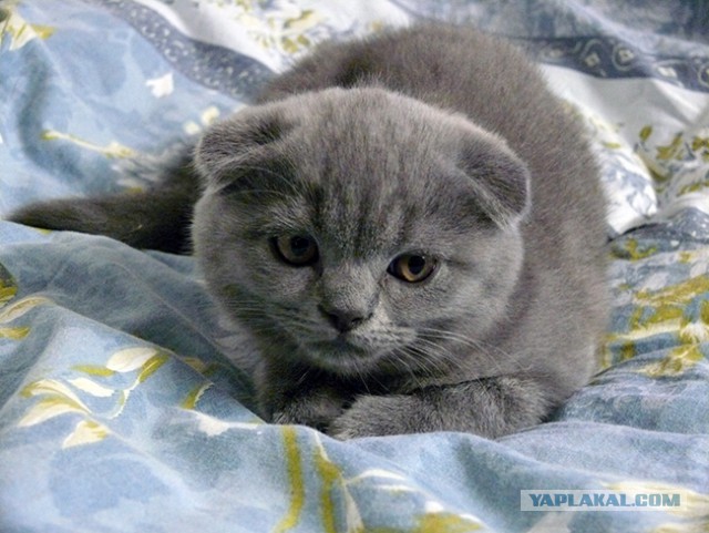 Всё - тлен