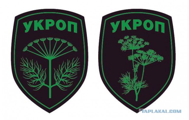 Под Киевом выставка военной техники