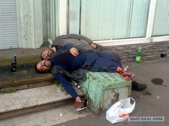 Сон на свежем воздухе очень полезен!