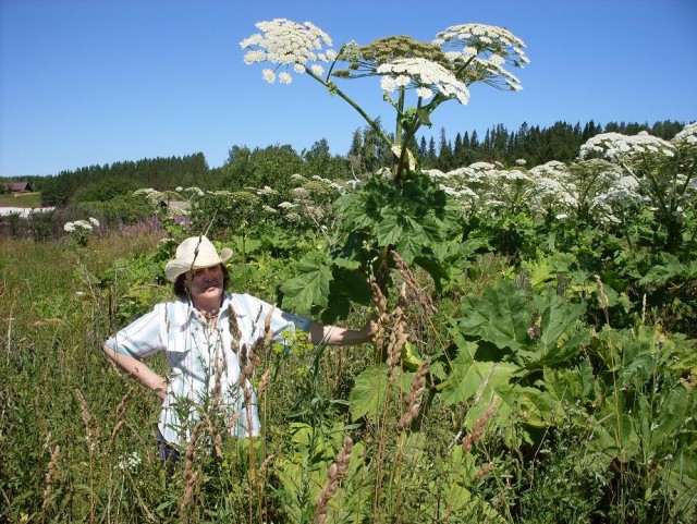 А у вас так говорят?