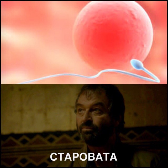 6 сезон Игры престолов