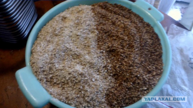 Карамелоьное домашнее пиво от "а " до " я"