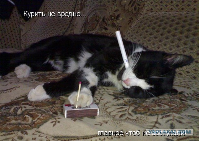 Курение на улицах запретят