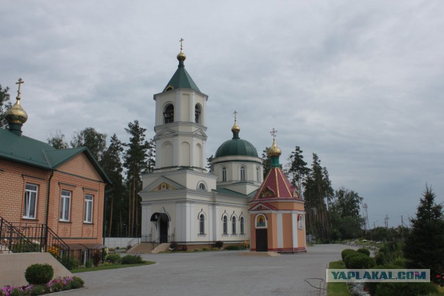 Вопрос к врачам и просто знающим людям ЯПа.