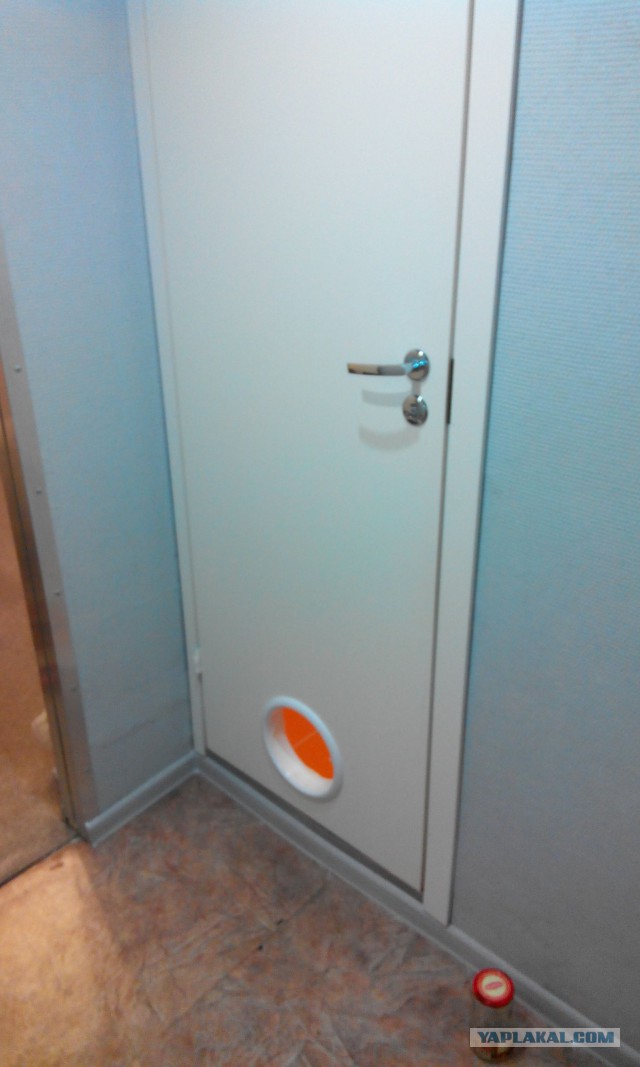 Лаз для кошки
