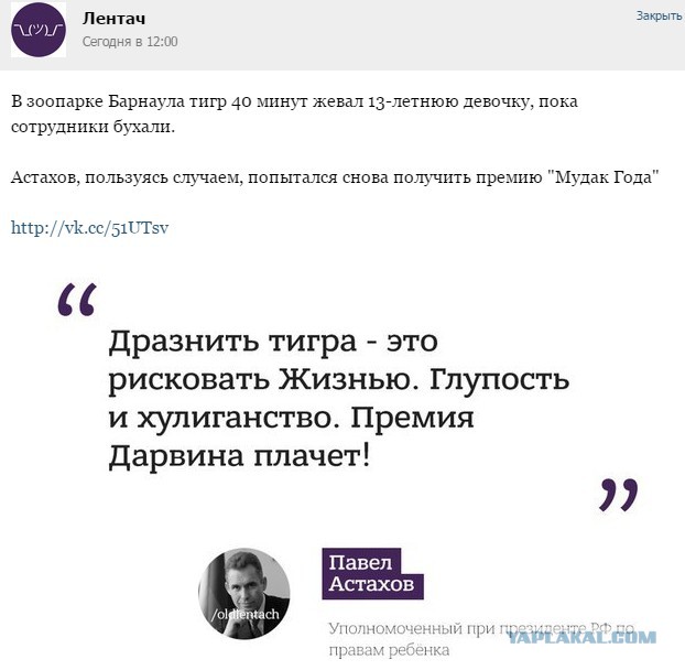 По поводу пьяных школьниц и тигра