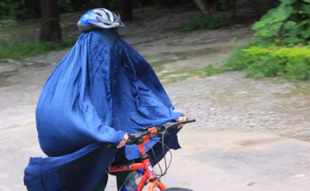 Подборка интересных и веселых фото