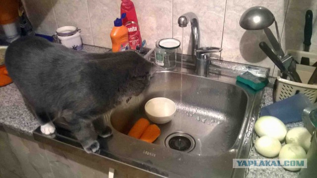 Хэппи нью Ира!
