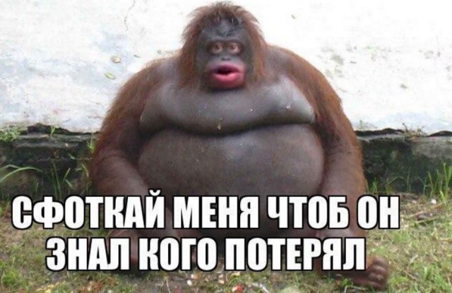 Я никому ничего не должна