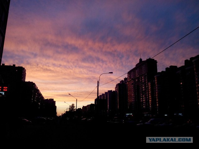 Типичный Санкт-Петербург