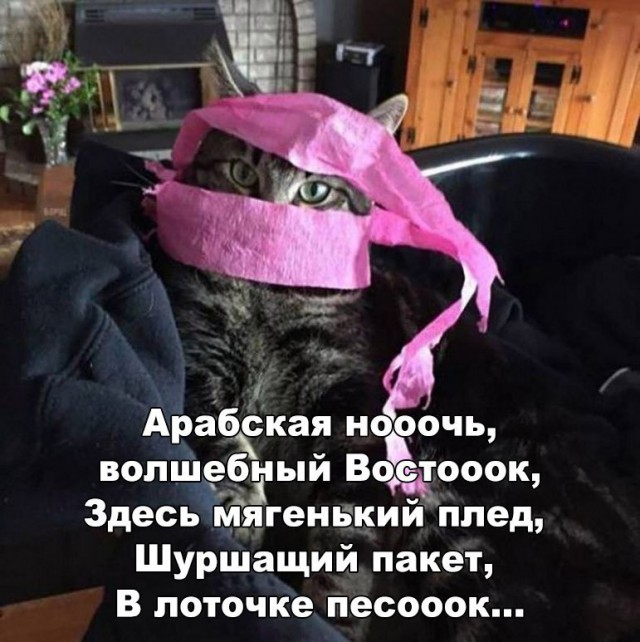 184 картинки для поднятия настроения!
