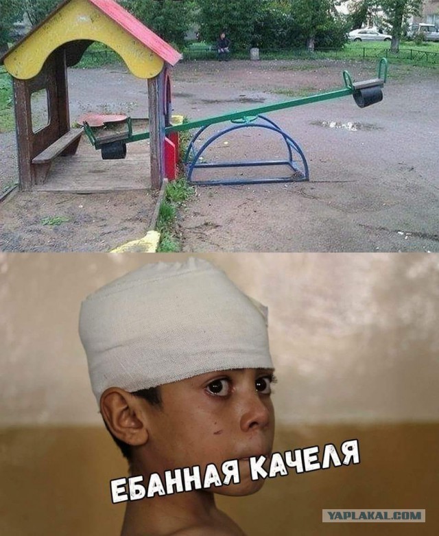 Прикольные картинки обо всём