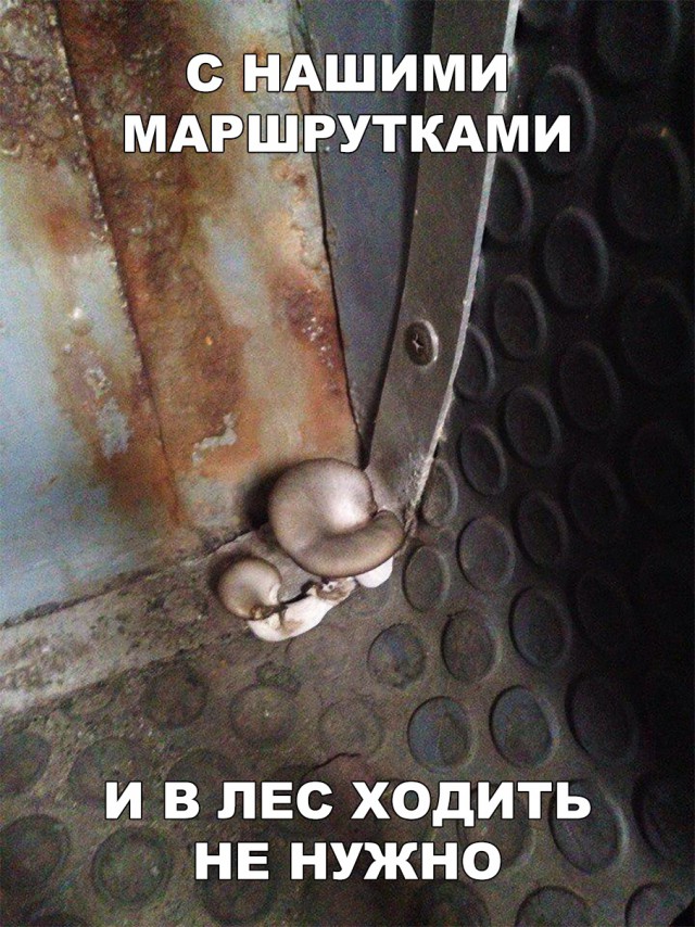 Прикольные картинки абавсём