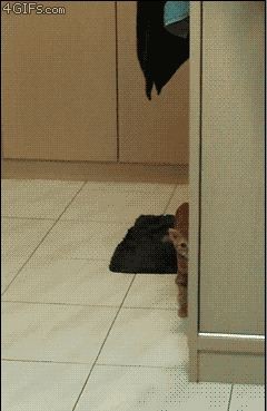 Пугай меня полностью!