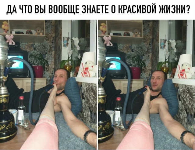 Скотсети и прочие интернеты 22.02.19