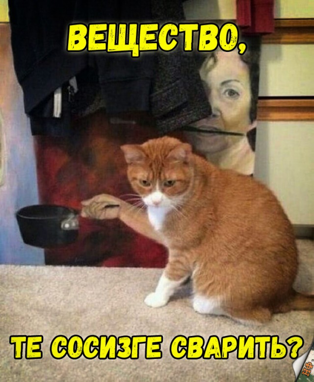 Нестандартный юмор
