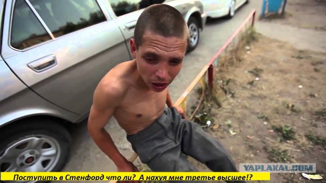 Дочь Навального поступила в Стэнфорд