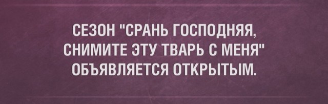Картинки разные, хорошие и не очень