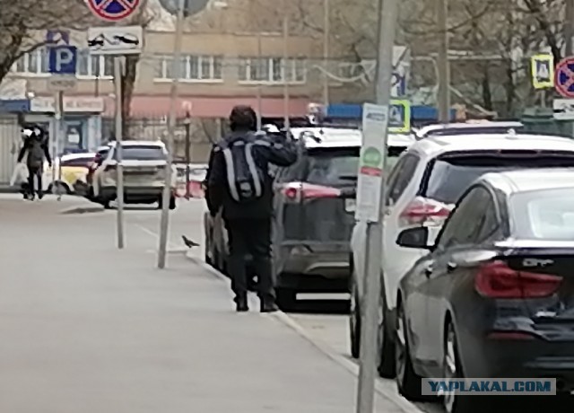 Песков объяснил пробки в метро