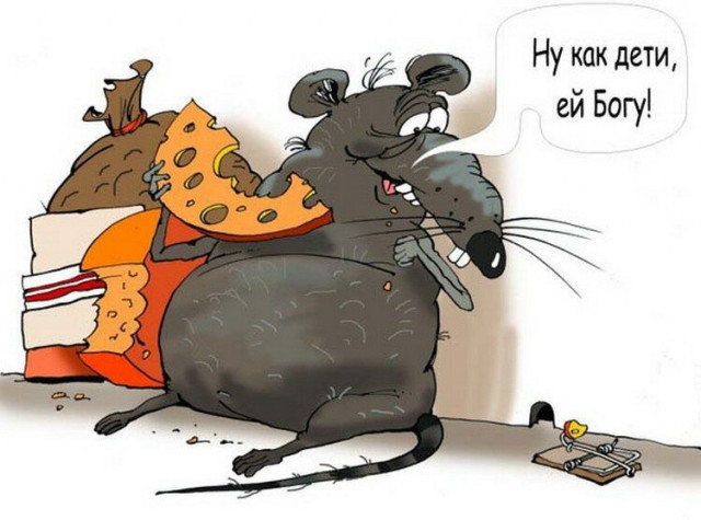 Позорный полк в Хабаровске