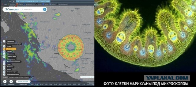 Метеоролог не смог объяснить это явление