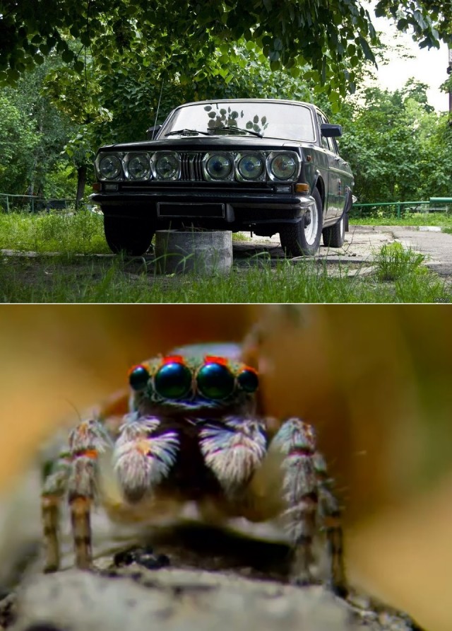 Слово об автомобилях